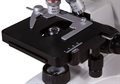 Микроскоп цифровой Levenhuk MED D10T LCD, тринокулярный - фото 115253183