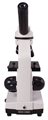 Микроскоп Levenhuk Rainbow 2L - фото 115253223