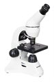 Микроскоп Levenhuk Rainbow 50L PLUS - фото 115253597