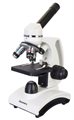 Микроскоп Levenhuk Discovery Femto Polar + Книга - фото 115253847