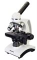Микроскоп Levenhuk Discovery Atto Polar + Книга - фото 115253870