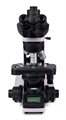 Микроскоп биологический MAGUS Bio 240T - фото 115253983