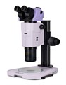 Микроскоп стереоскопический MAGUS Stereo A18T - фото 115256263