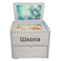 Сундучок психолога-дефектолога «Антошка» для Школы - фото 115256951