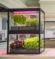 Умная цифровая теплица для кухни Greenbar "ДЮЙМОВОЧКА" ✅ - фото 115748186