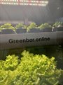 Ситиферма Greenbar LUX-5 ПАК для выращивания зелени, пряных трав ✅ - фото 115772391