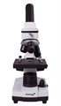 Микроскоп Levenhuk Rainbow 2L PLUS - фото 115772700
