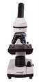 Микроскоп Levenhuk Rainbow 2L - фото 115773040