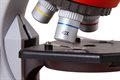 Микроскоп детский Bresser Junior 40x–640x - фото 115773216