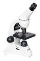 Микроскоп Levenhuk Rainbow 50L PLUS - фото 115773501