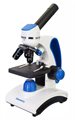Микроскоп Levenhuk Discovery Pico Gravity + Книга - фото 115773856