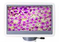 Микроскоп цифровой Levenhuk D85L LCD - фото 115773962