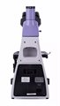 Микроскоп биологический MAGUS Bio 230T - фото 115774049
