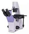 Микроскоп биологический инвертированный MAGUS Bio V300 - фото 115774140