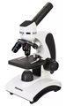 Микроскоп Levenhuk Discovery Pico Polar + Книга - фото 115774204