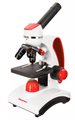 Микроскоп Levenhuk Discovery Pico Terra + Книга - фото 115774220