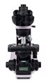 Микроскоп биологический MAGUS Bio 240T - фото 115774487