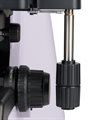 Микроскоп биологический MAGUS Bio 290T - фото 115774555