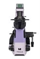 Микроскоп биологический инвертированный MAGUS Bio V360 - фото 115774570