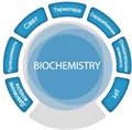 Цифровая лаборатория SenseDisс – Биология и Химия (Biochemistry) ✅ - фото 115779422 Цифровая лаборатория SenseDisс – Биология и Химия (Biochemistry) ✅ - фото 115779422