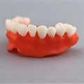Фотополимерная смола Gorky Liquid Dental Base, розовая (1 кг) - фото 115798136