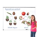 Магнитный набор "Жизненный цикл растений" Learning Resources MG6045 - фото 115805941