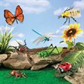 Развивающая игрушка "Насекомые" (7 элементов) Learning Resources LER0789 - фото 115806031
