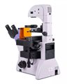 Микроскоп люминесцентный инвертированный MAGUS Lum V500L - фото 117479065