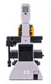 Микроскоп люминесцентный инвертированный MAGUS Lum V500L - фото 117479068