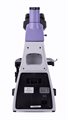 Микроскоп биологический цифровой MAGUS Bio D230T LCD - фото 117479247