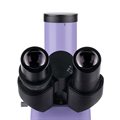Микроскоп люминесцентный цифровой MAGUS Lum D400L LCD - фото 117479329
