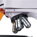 Микроскоп люминесцентный цифровой MAGUS Lum D400L LCD - фото 117479332
