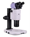 Микроскоп стереоскопический MAGUS Stereo A18T - фото 117479413