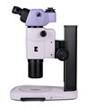 Микроскоп стереоскопический MAGUS Stereo A18T - фото 117479414