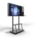 Интерактивная панель Storm S Mini 43" (с документ камерой) (43 дюйма) - фото 120897386